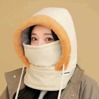 Winter Cap {gray)